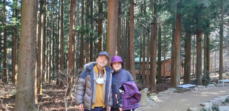 보성행정사사무소 이미지