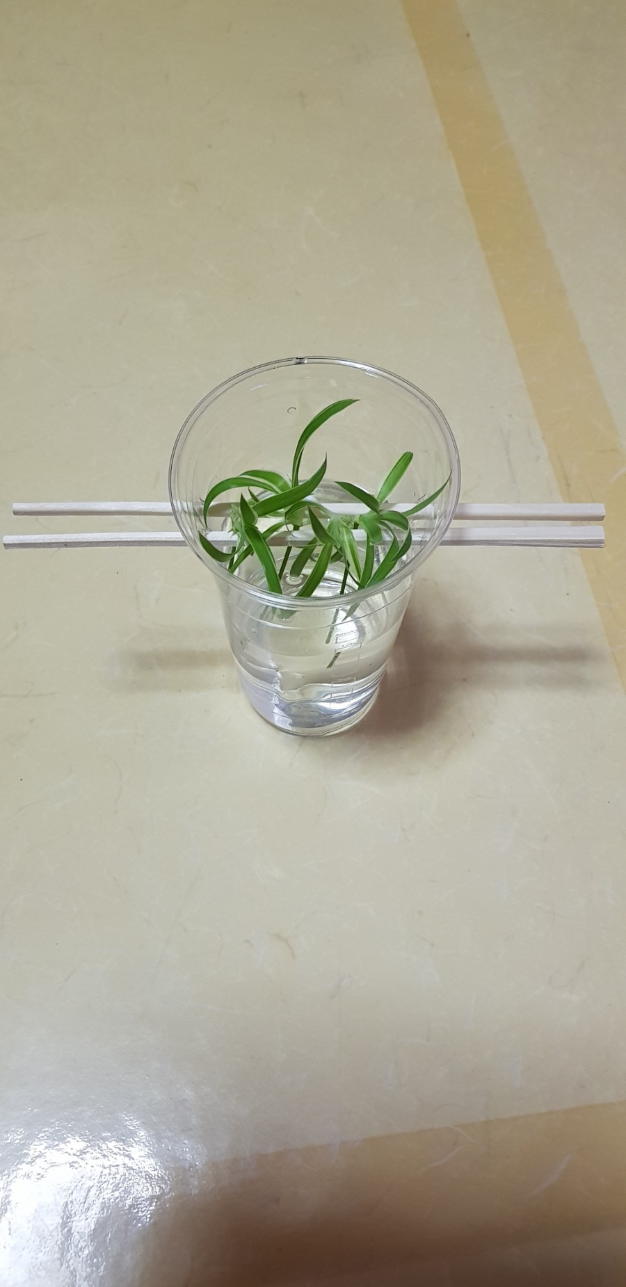 콩닥허브 이미지