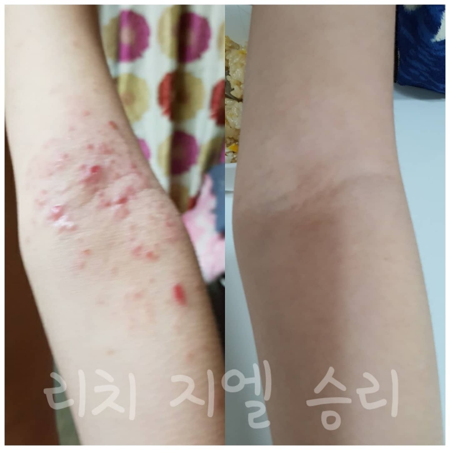 지엘(Xiel) 이미지