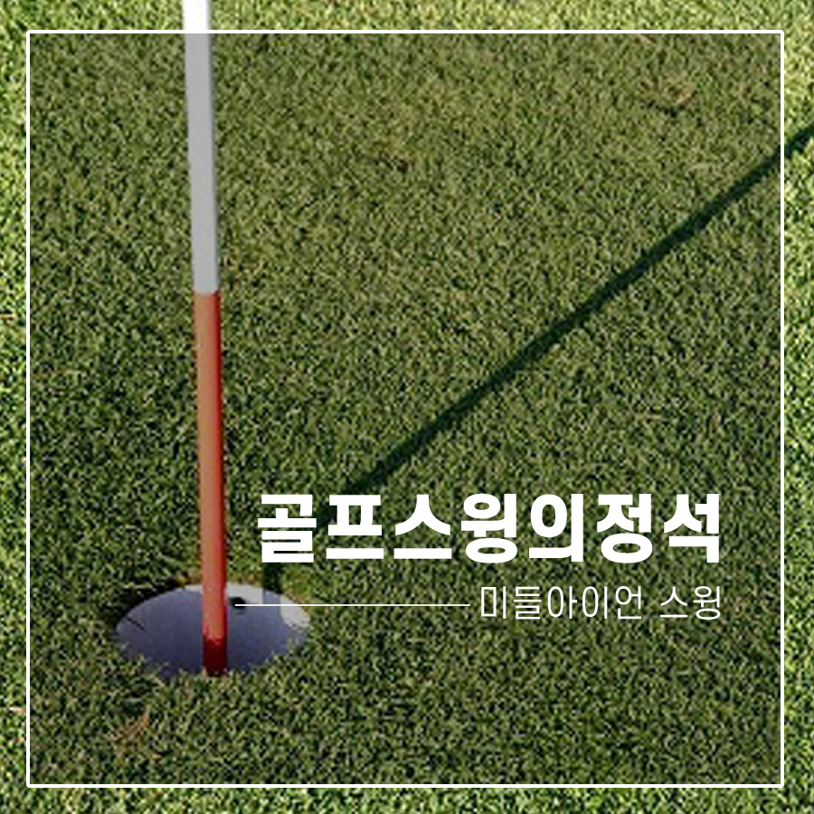 스윙골프 이미지