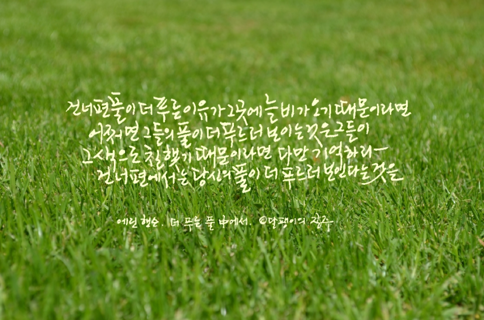 더푸른 이미지