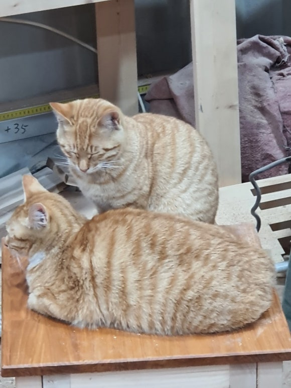 고흥군노인전문요양원 이미지
