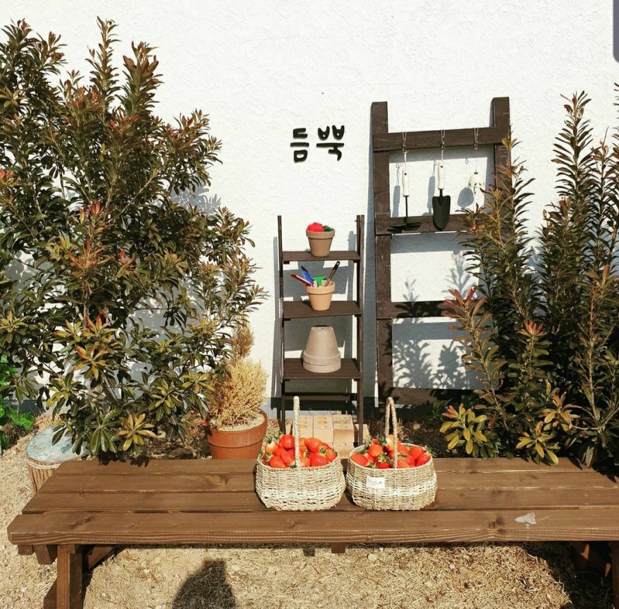 통영쿠킹클래스 이미지