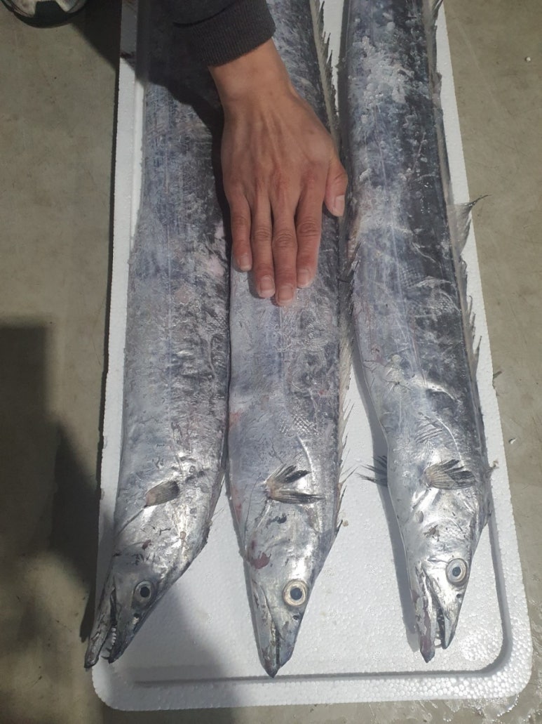수산마켓 이미지