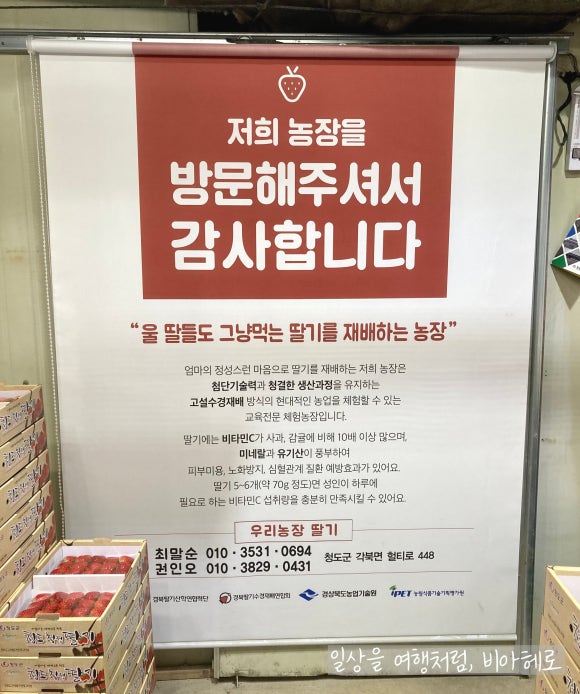 청도우리농장 이미지