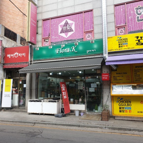 케이플로라 이미지