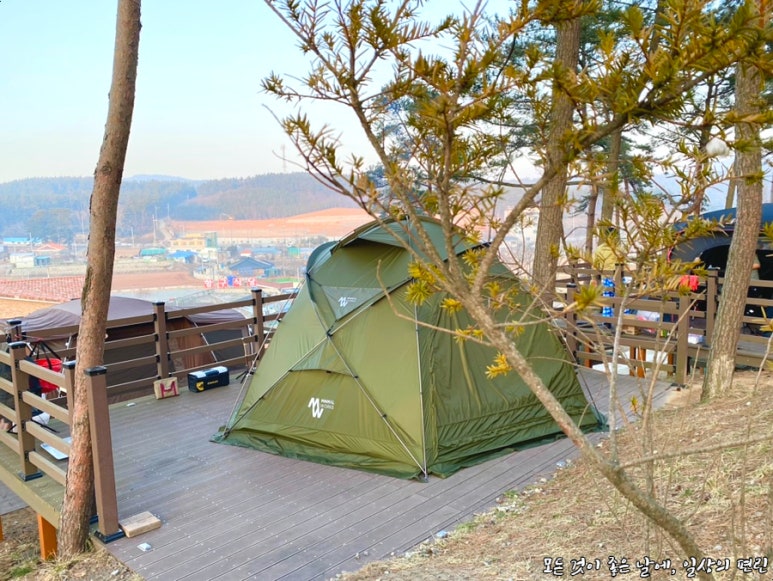 솔향기매점 이미지