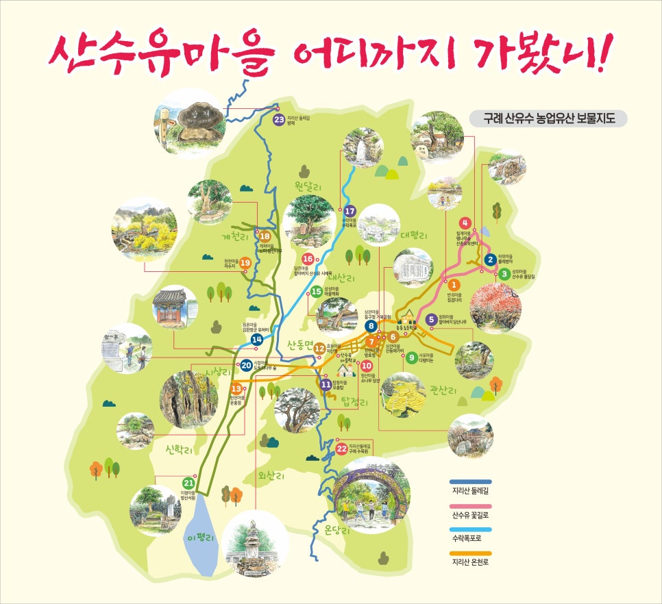 산수유권역 이미지