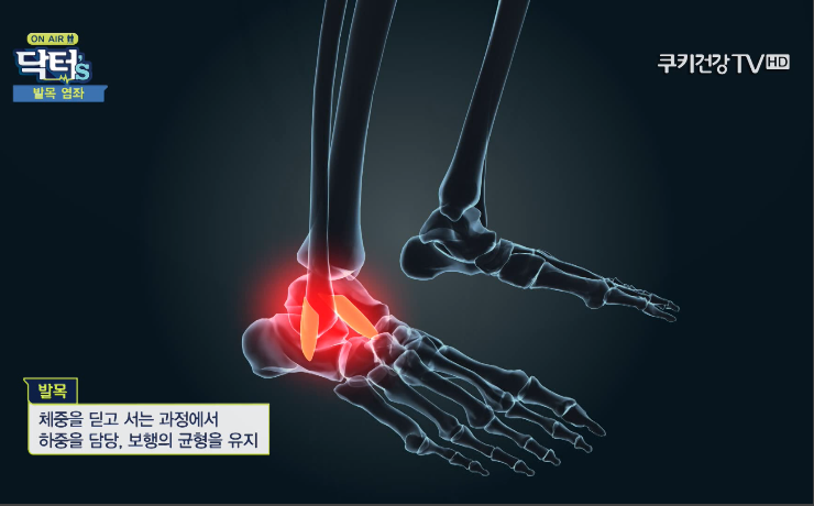 쿠키온 이미지