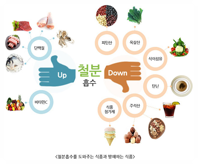 뉴비타민 이미지
