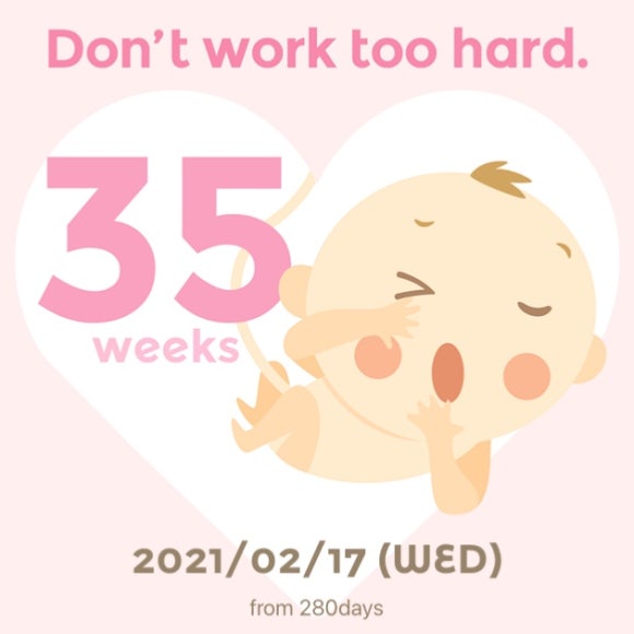 진성세탁 이미지
