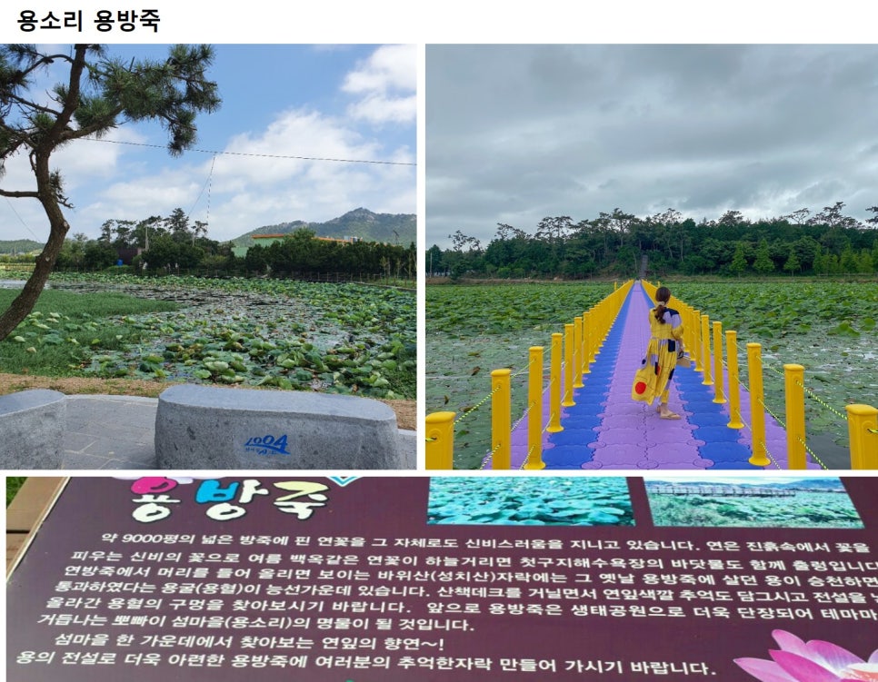 삼학민박 이미지
