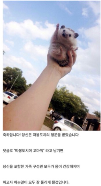 꿍까 이미지