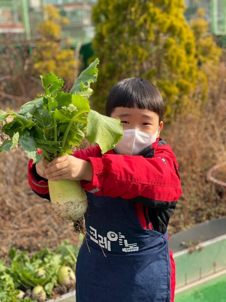 보람유치원 이미지