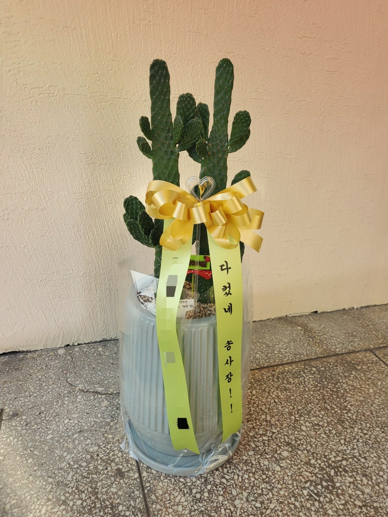 대소원꽃집 이미지
