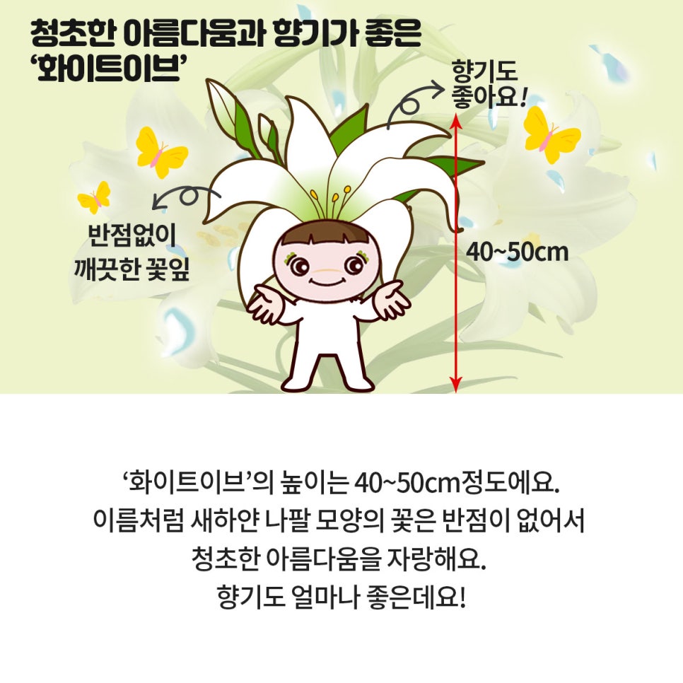 이브의향기 이미지