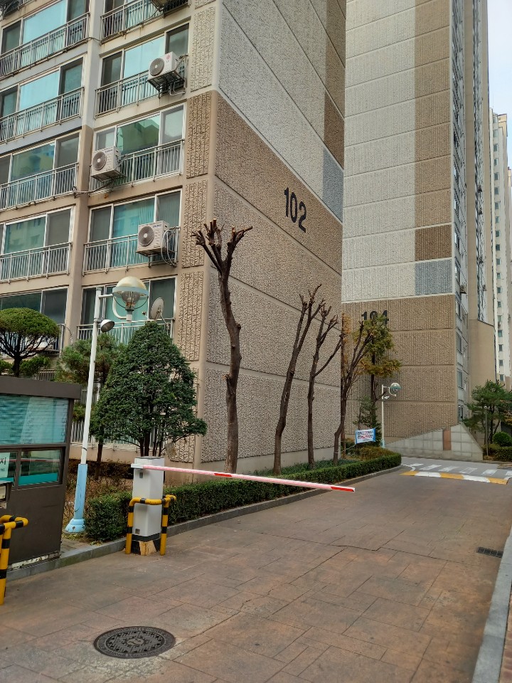 청솔조경 이미지