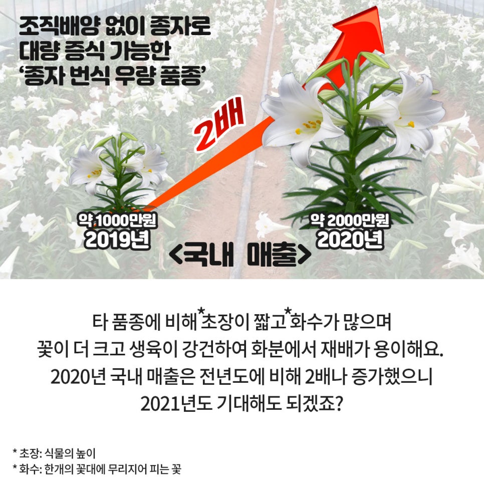 이브의향기 이미지