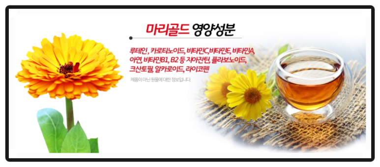 김현주꽃차 이미지