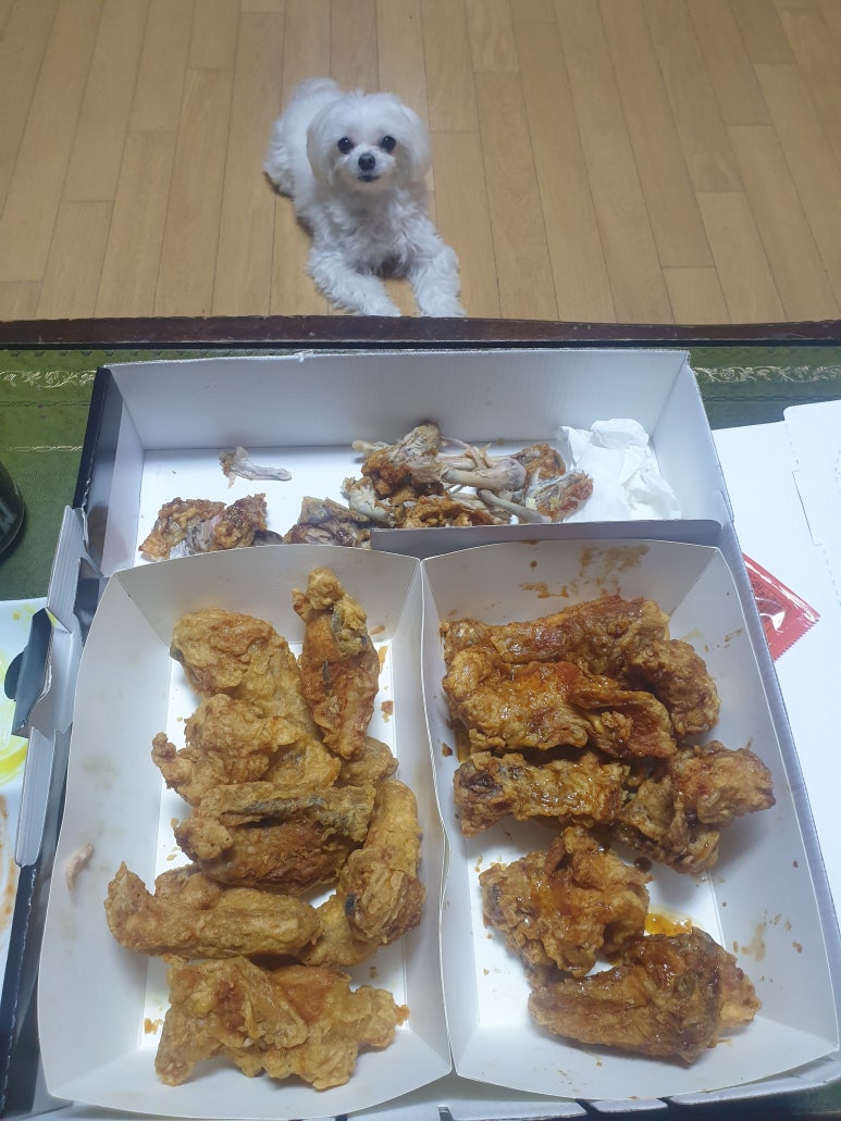 씨엠치킨 이미지