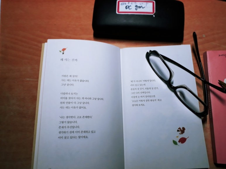오꼬미 이미지