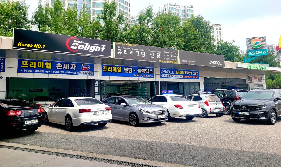 팀딜라이트 이미지