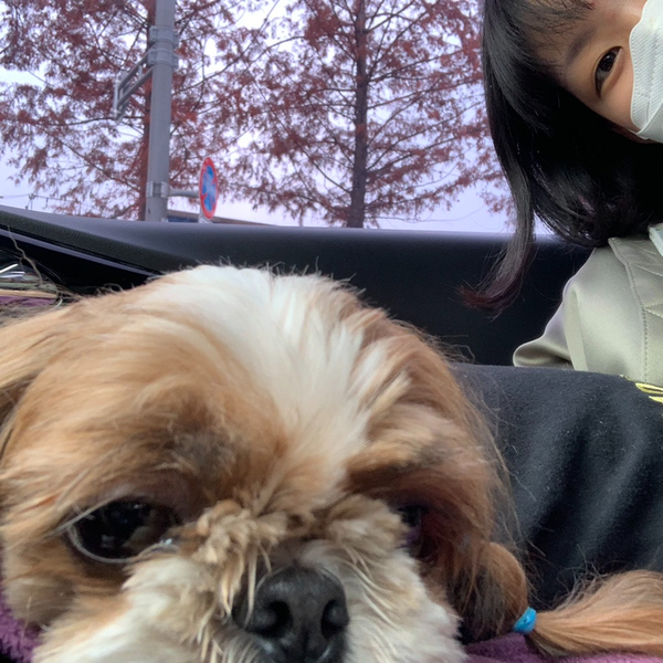 배떡 홍제점 이미지