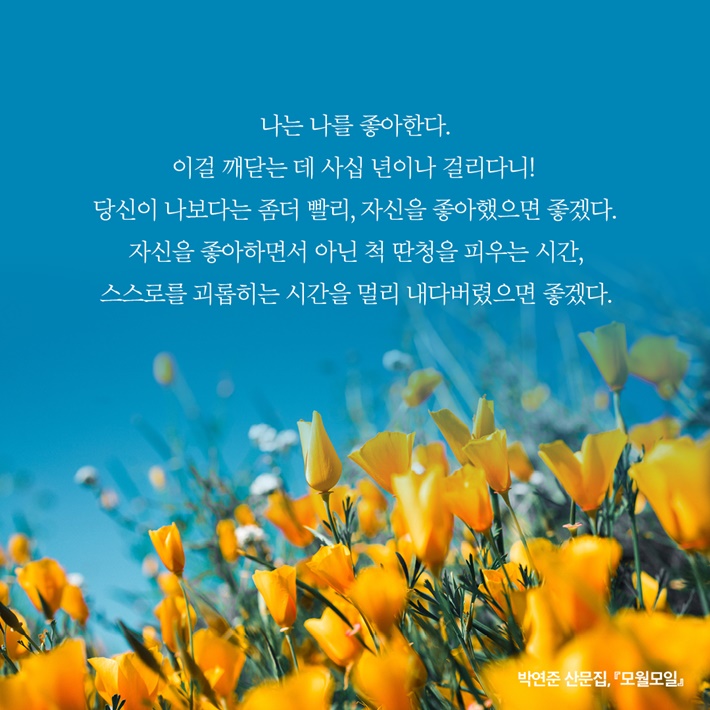 모월모일 이미지