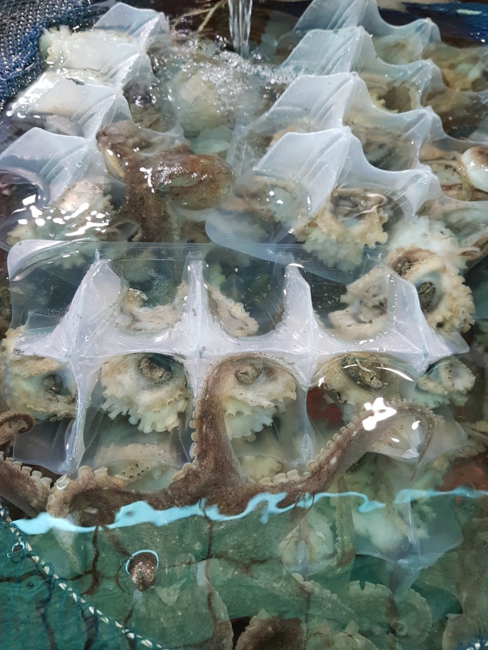 변산수산 이미지