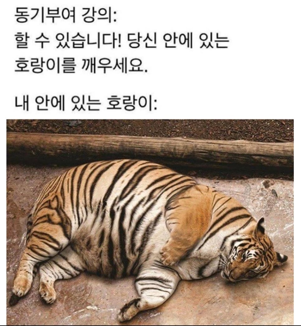 (주)프레쉬 이미지
