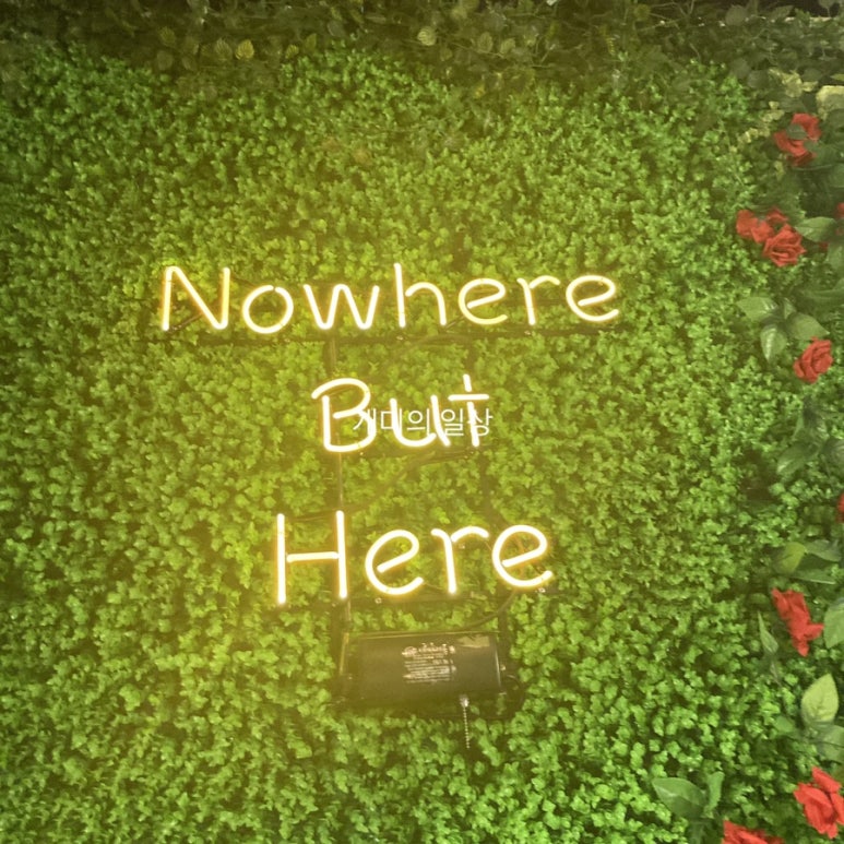 노웨어벗히어(Nowhere But Here) 이미지