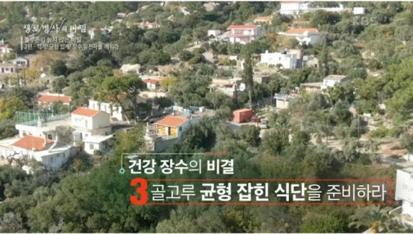 블루존 이미지