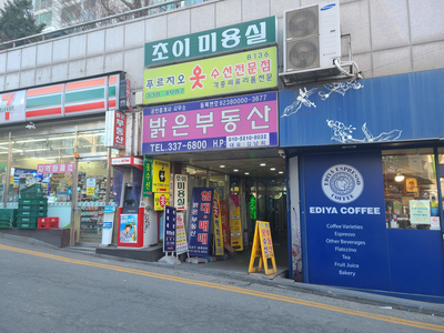서교수선 이미지