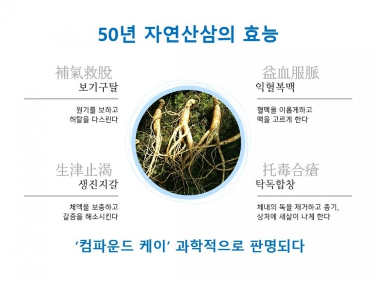 라파테라피 이미지