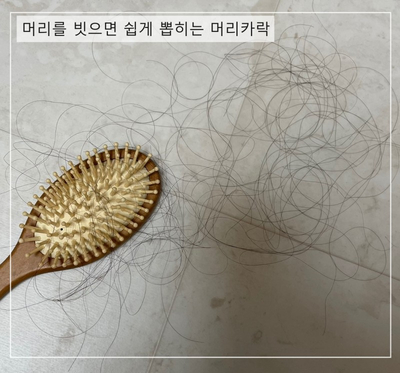 디브러쉬 이미지