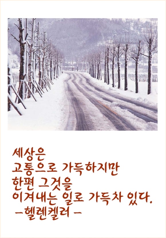 축산이야기 이미지