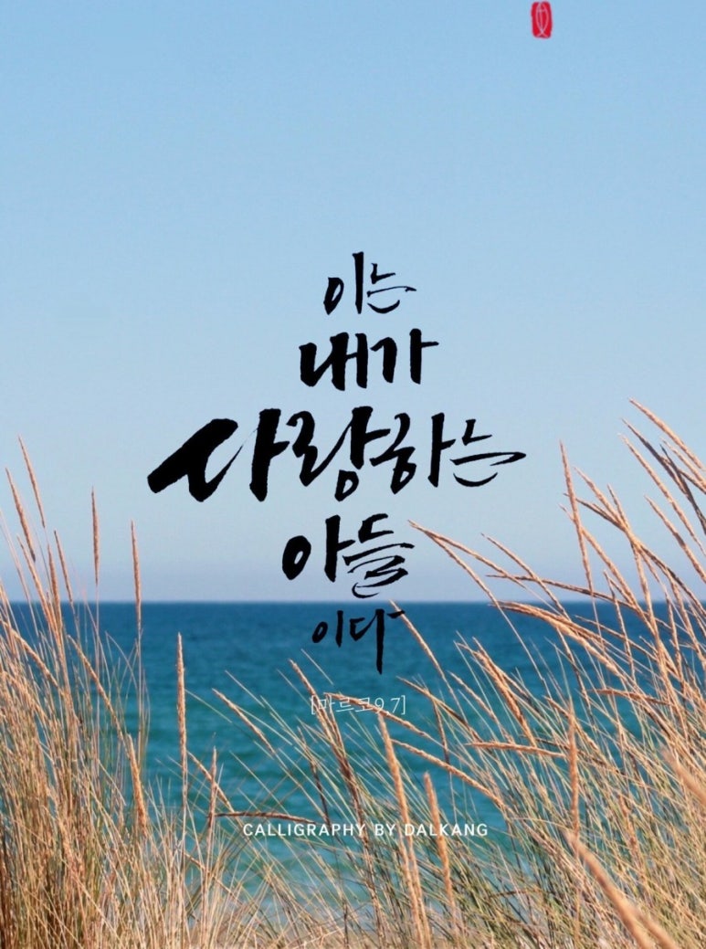 오늘 이미지