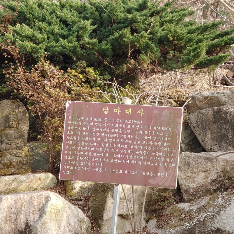달마상사 이미지