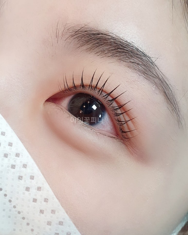 디자인꽃피다 이미지