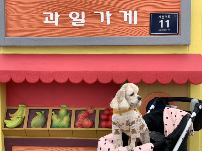 보송서점 이미지
