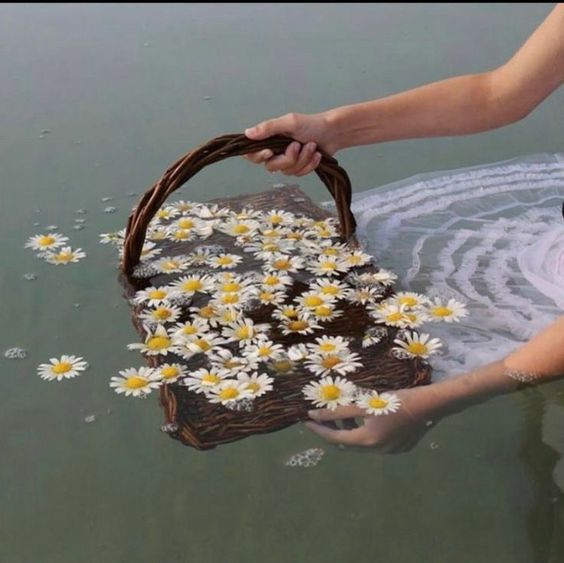 프레클데이 이미지