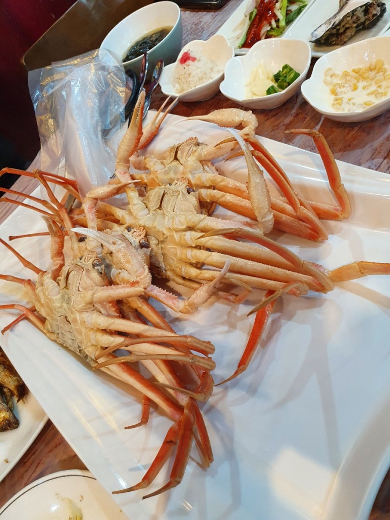 도심속수산 이미지