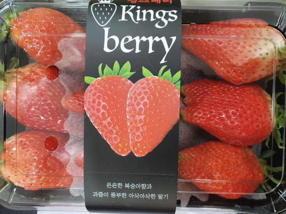 화성상회 이미지