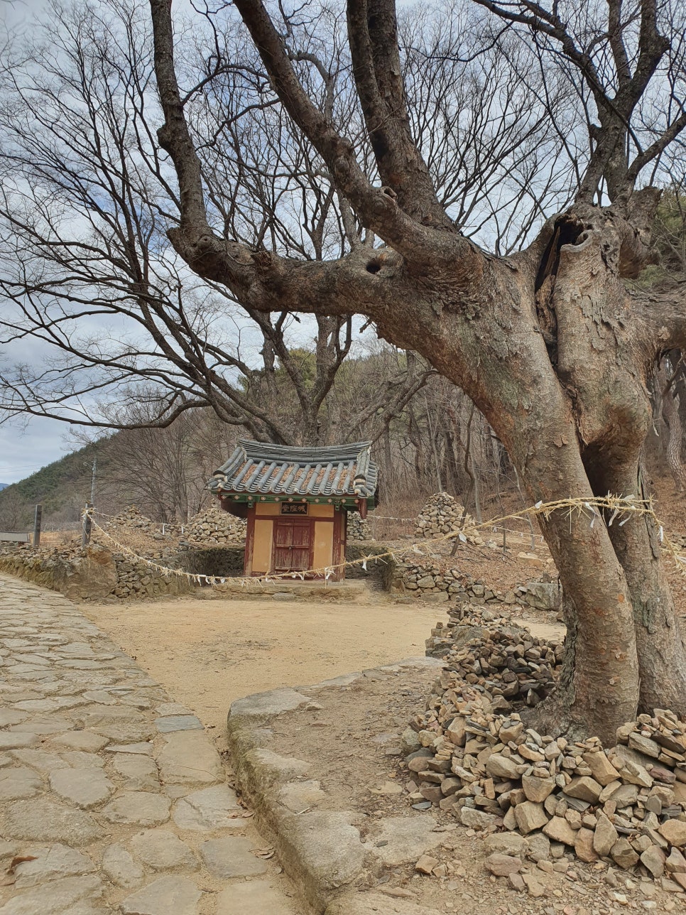 길손농원 이미지