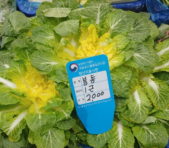 영실떡집 이미지