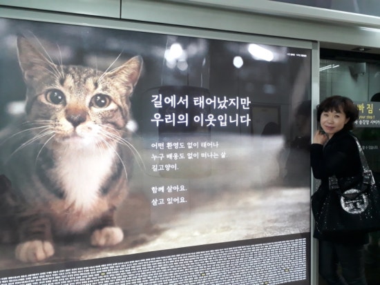 삼팔이 이미지