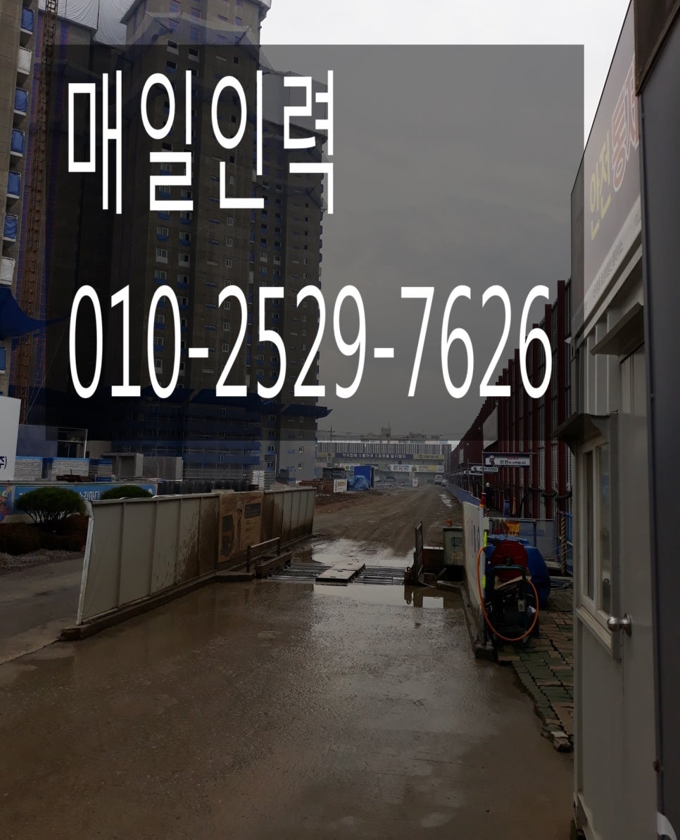 매일인력용역 이미지