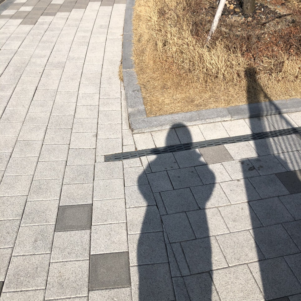 우리치즈밥있슈 이미지