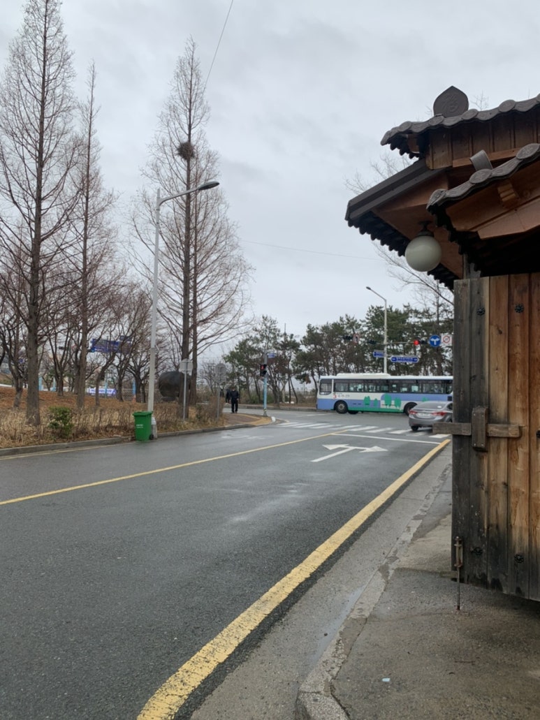 호미곶참가자미 이미지