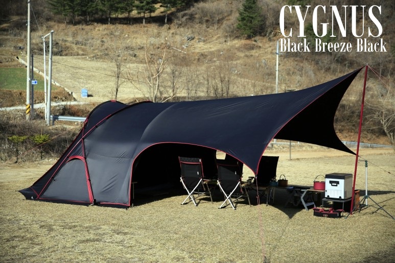 시그너스(Cygnus) 이미지
